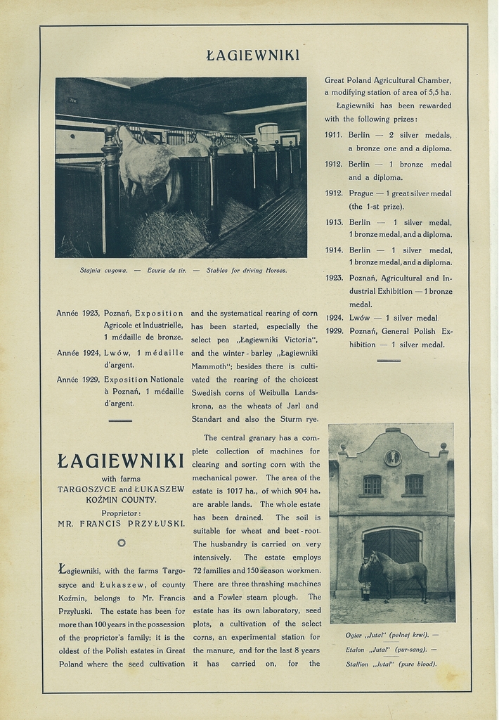 111 lagiewniki.jpg